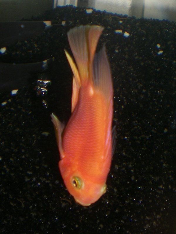 Tauchgang in die Tiefe