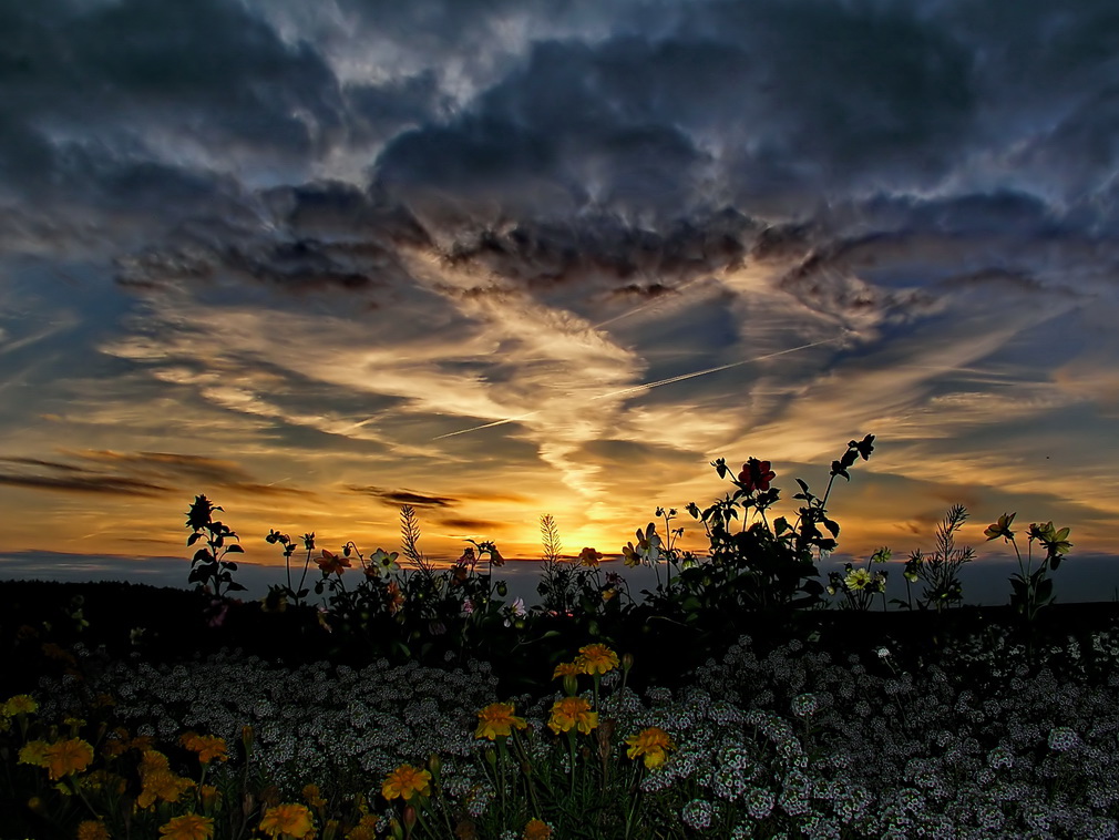 Sommer Farben ... ... 2