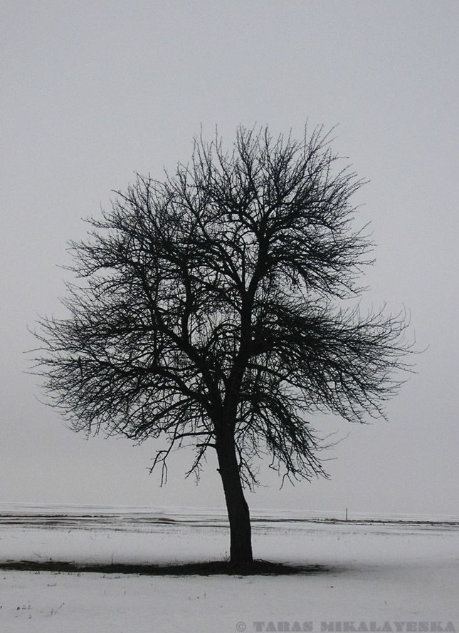 Warten auf den Frühling