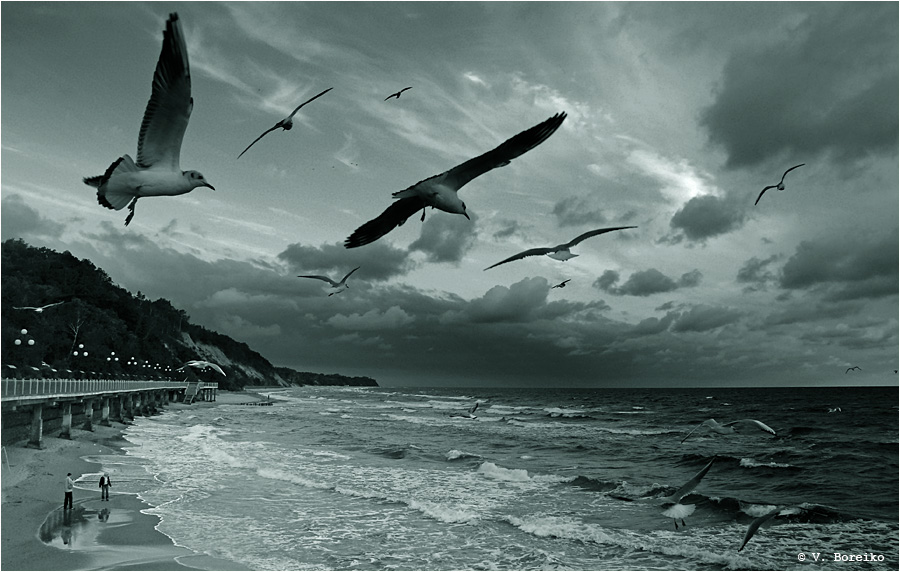 Ausführliche fliegen