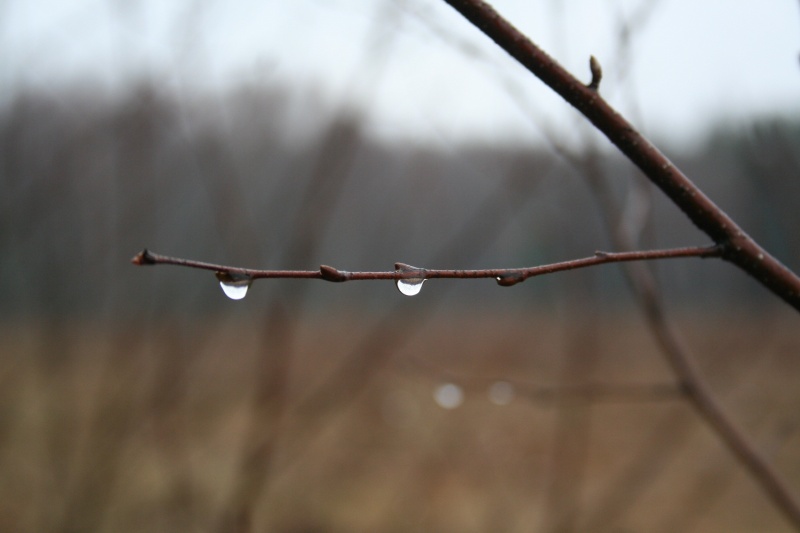 Beginn des Frühlings ...