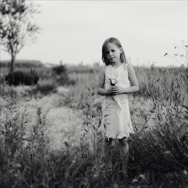 Kamille - Lieblingsblume