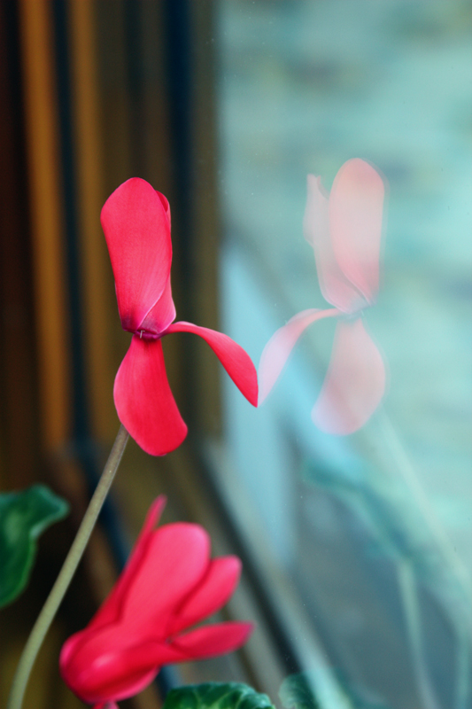 Mein Licht, Spiegel, erzählen ...