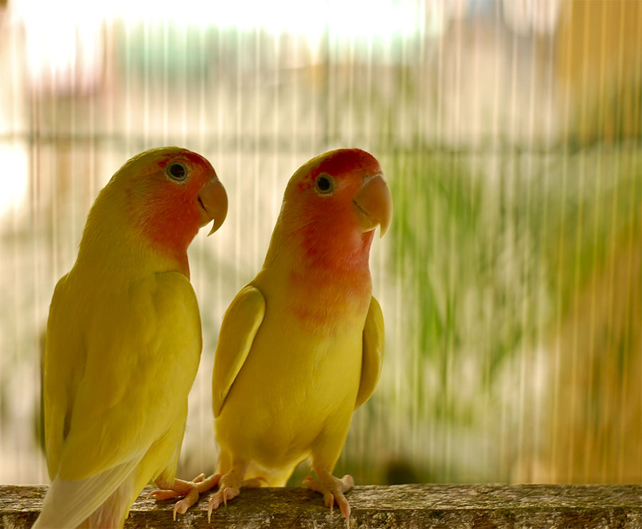 Lächeln und "Hallo" sagen