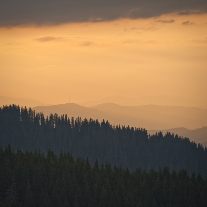 7 Schichten des Glücks