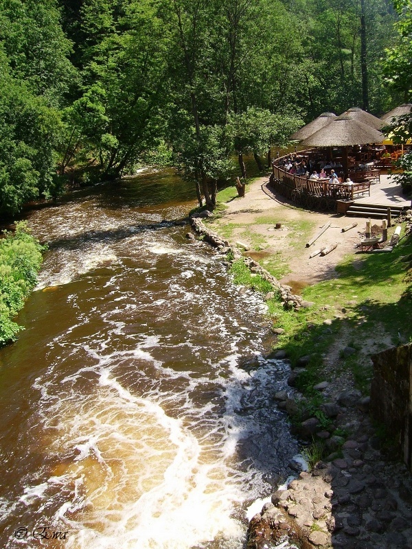 Und die Insel ist ...