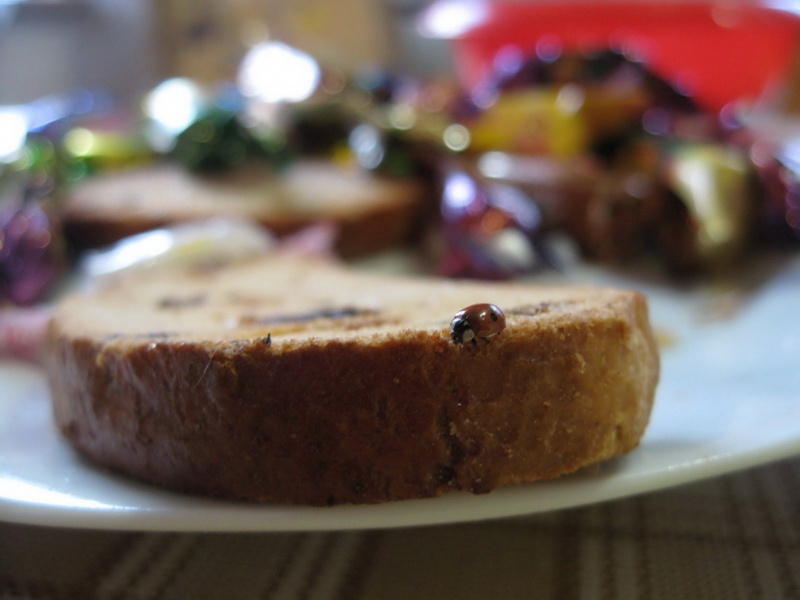 Marienkäfer, weg zum Himmel fliegen