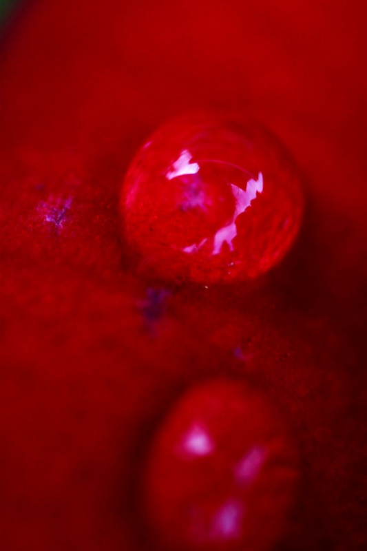 Tröpfchen Lebensdauer