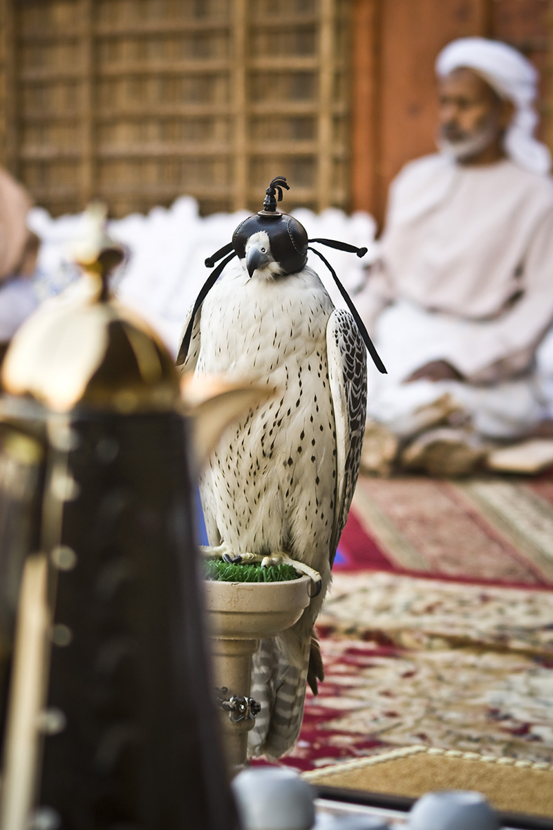 Zwischen den beiden "Lichter"