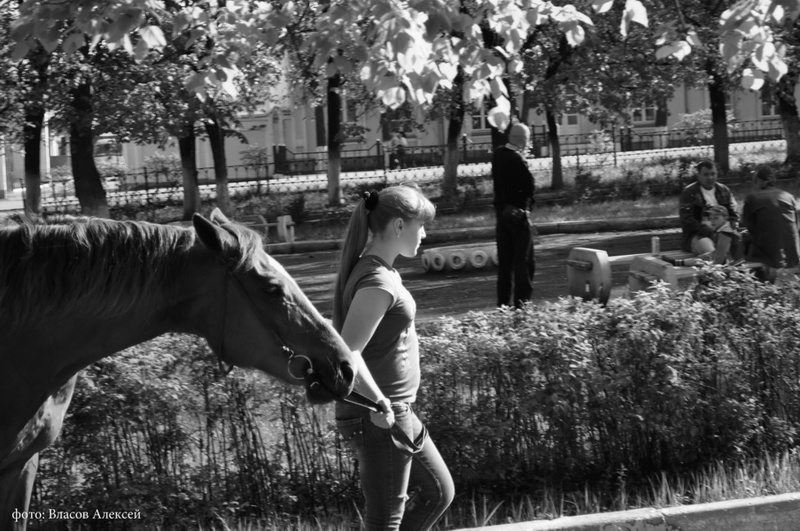 Eine Dame mit einem Pferd