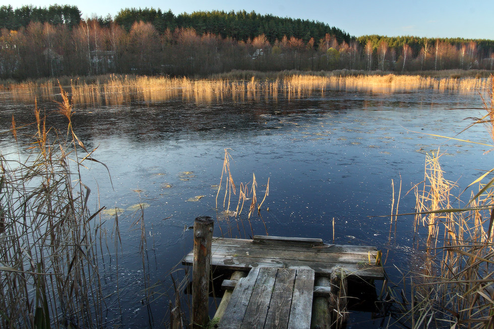 Freeze: Gold und Kristall