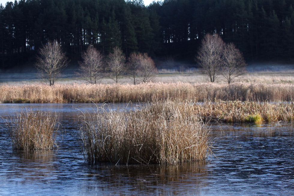 Versuch über eine zerbrechliche Schale