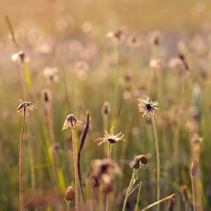 Eternal Zärtlichkeit