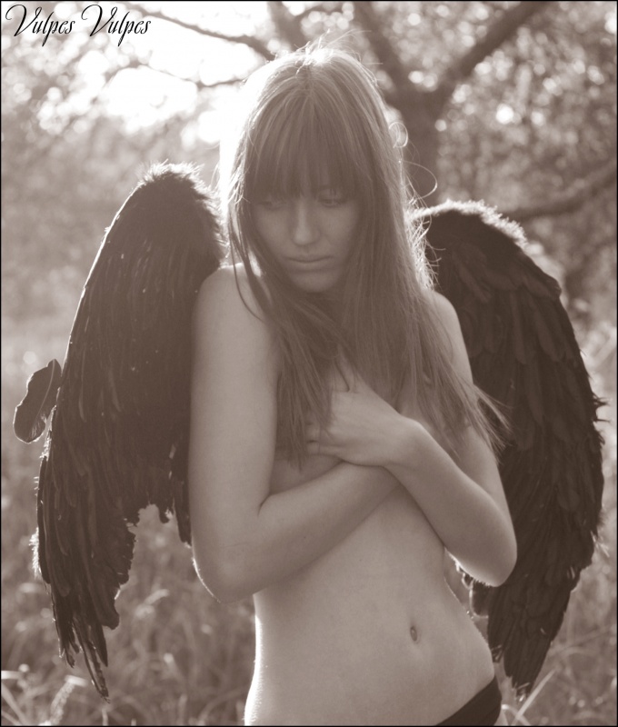 angel with black wings