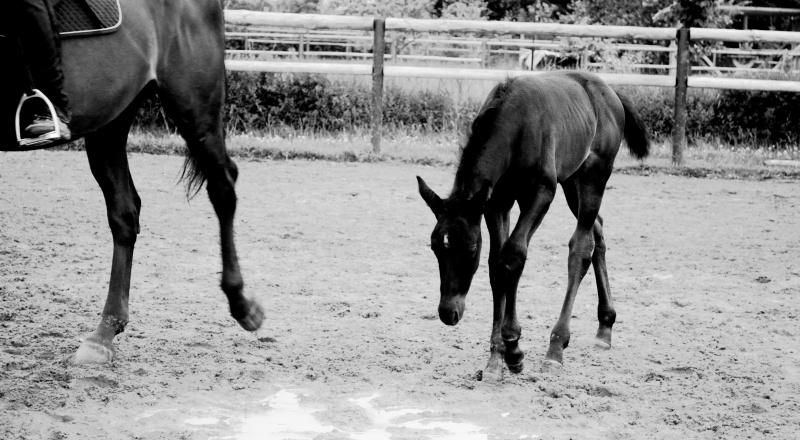 Mama, ich bin müde ....