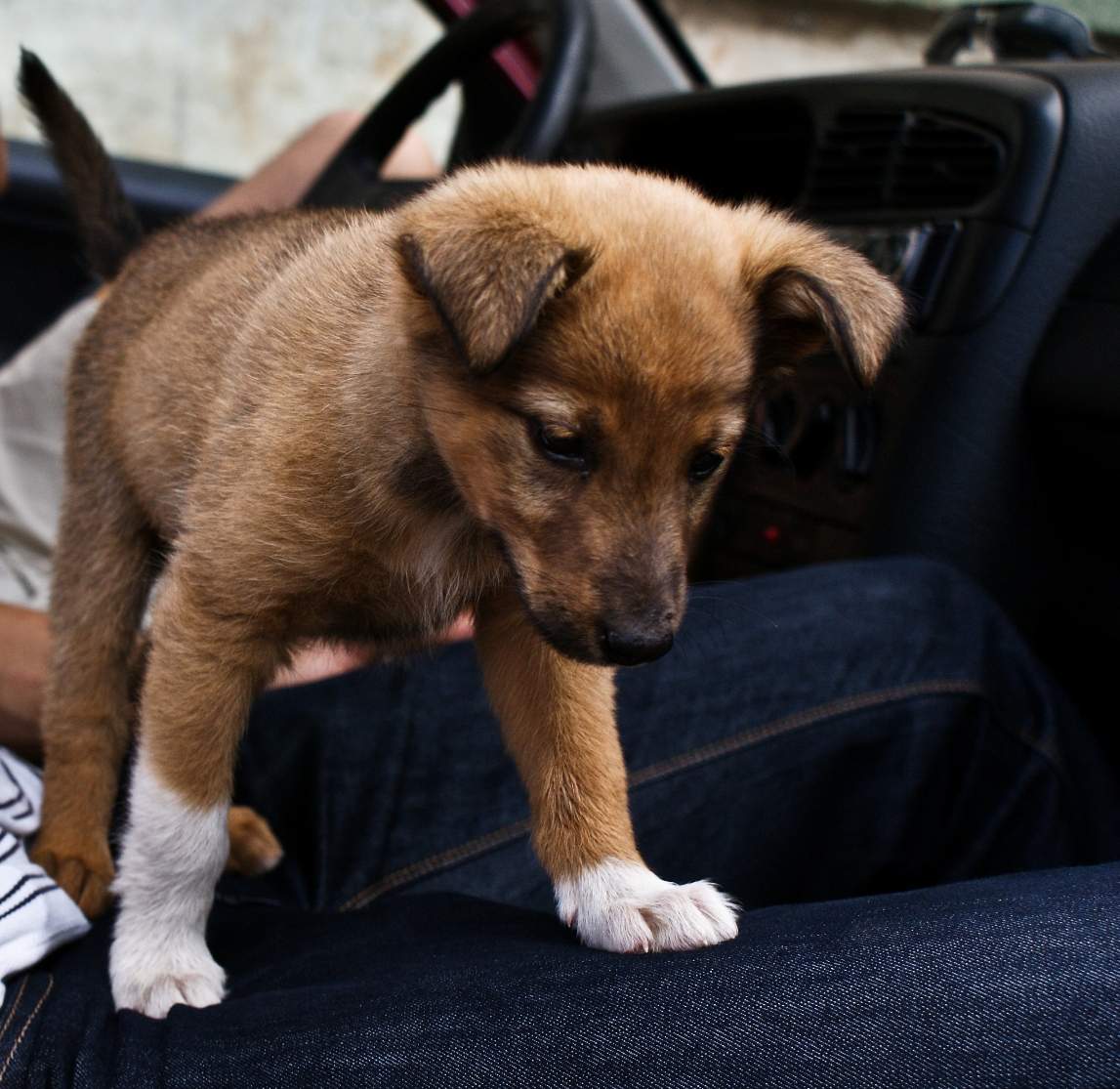 Unser Freund Jonathan