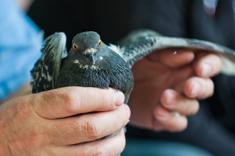 Schauen Sie sich diesen Augen