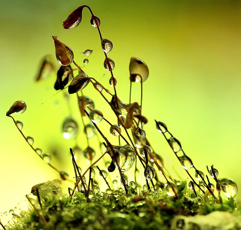 Die Sonne geht auf ..