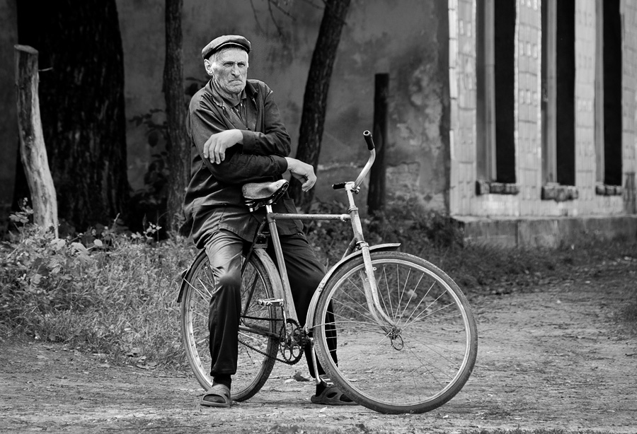 Einmal waren wir Traber ...