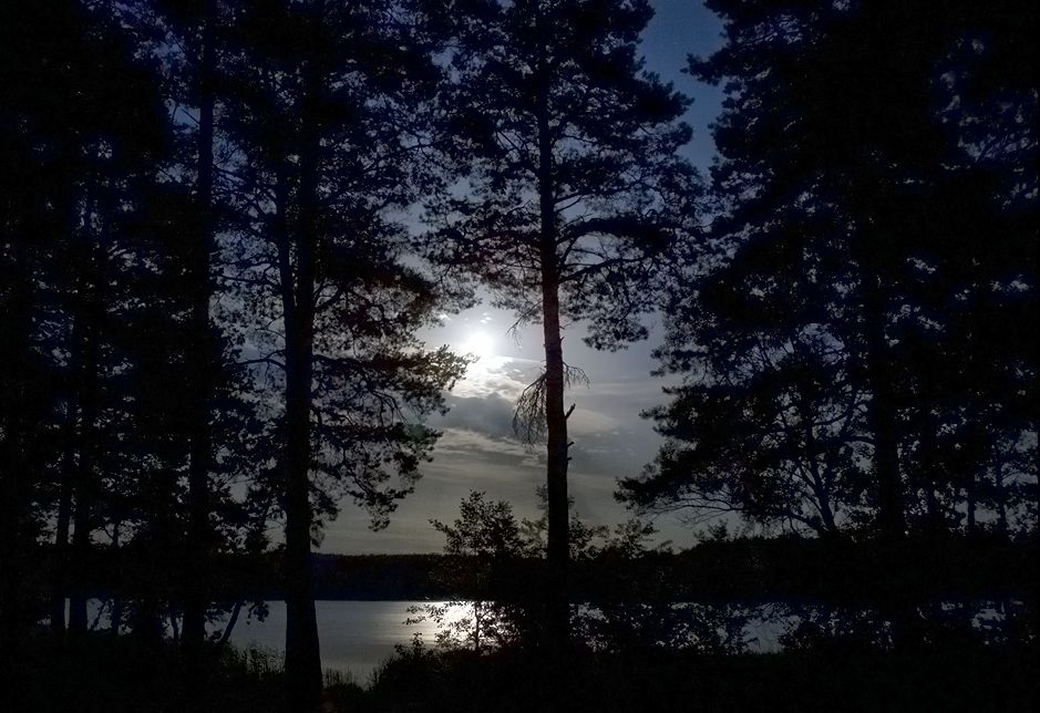 in der Wildnis der Taiga Märchen