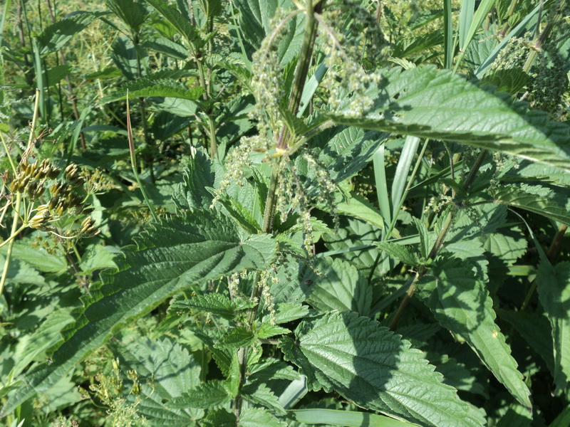 Herzlich Willkommen!