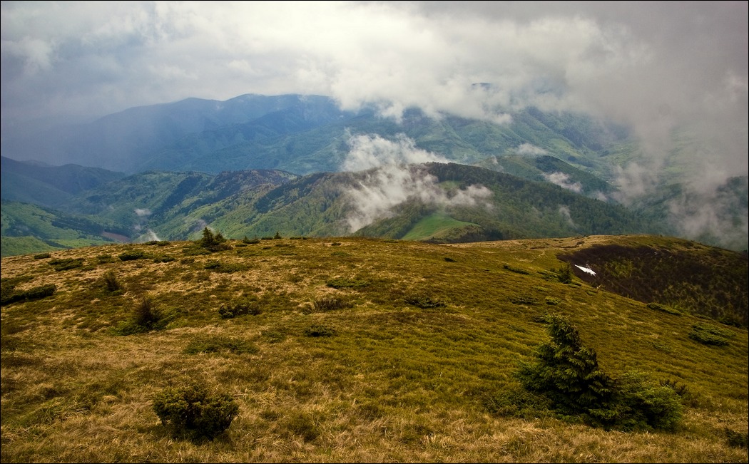 Kletterte auf Sheshul ..