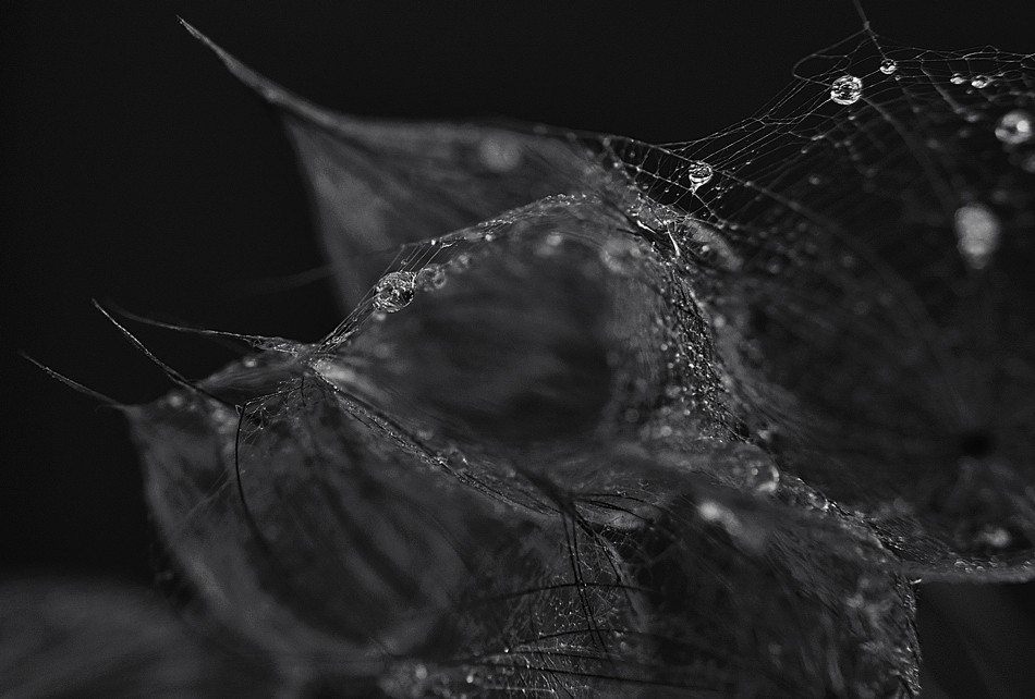 Love you to death......