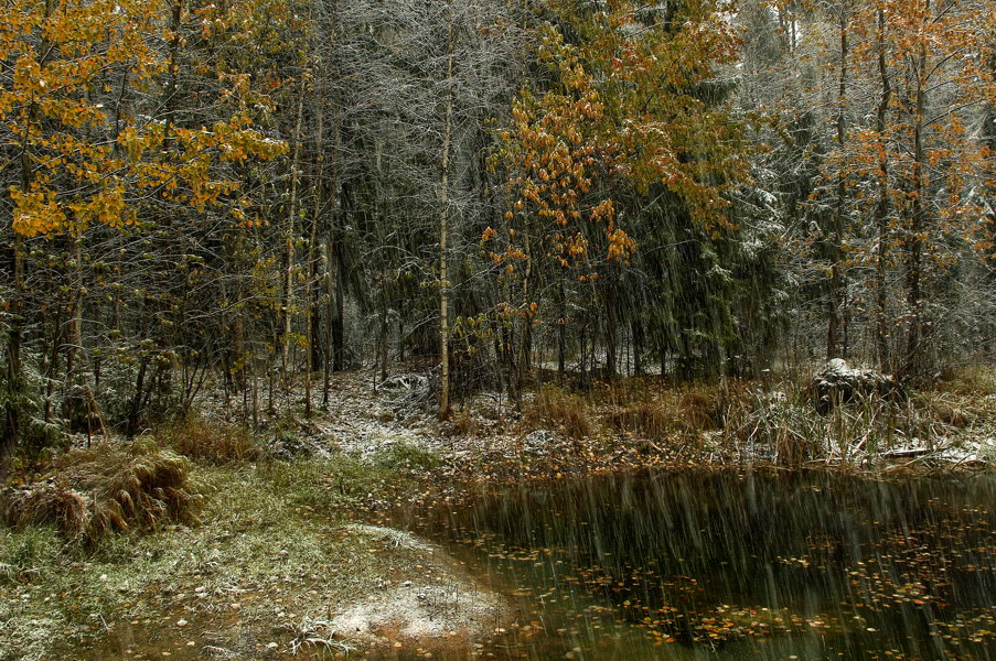 Nowhere to Run ... (2007)