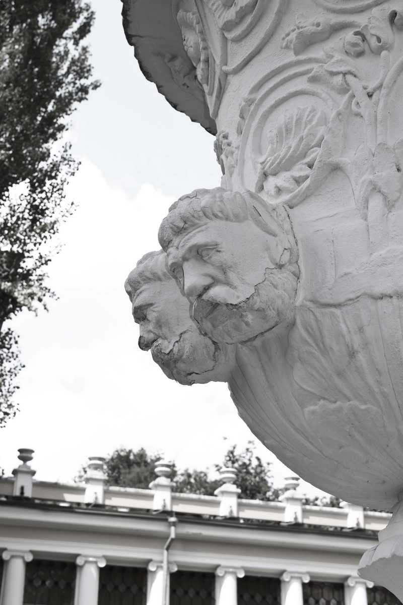 Zwillinge im Mutterleib