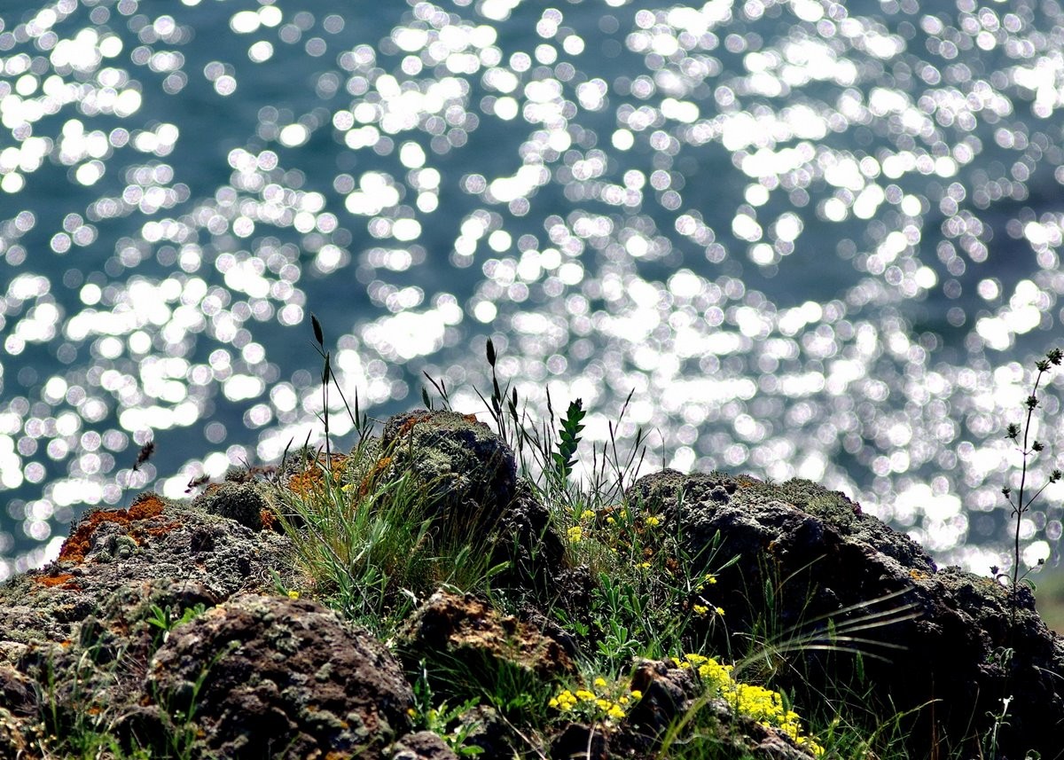 Im Gegenlicht Sonneneruption