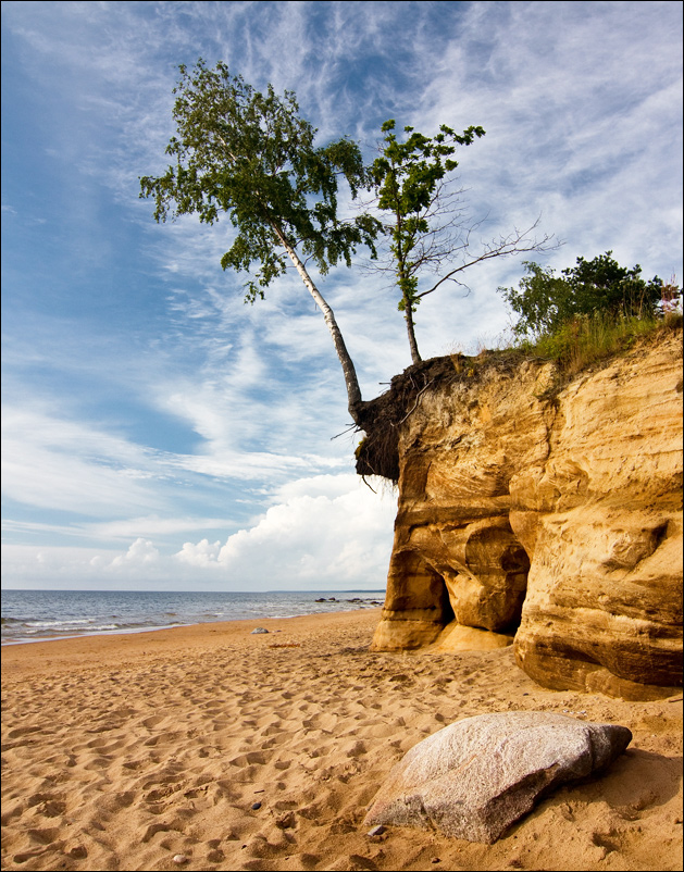 Klammern sich an das Leben