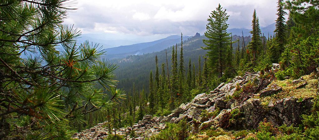 Sibirische Weiten ..........