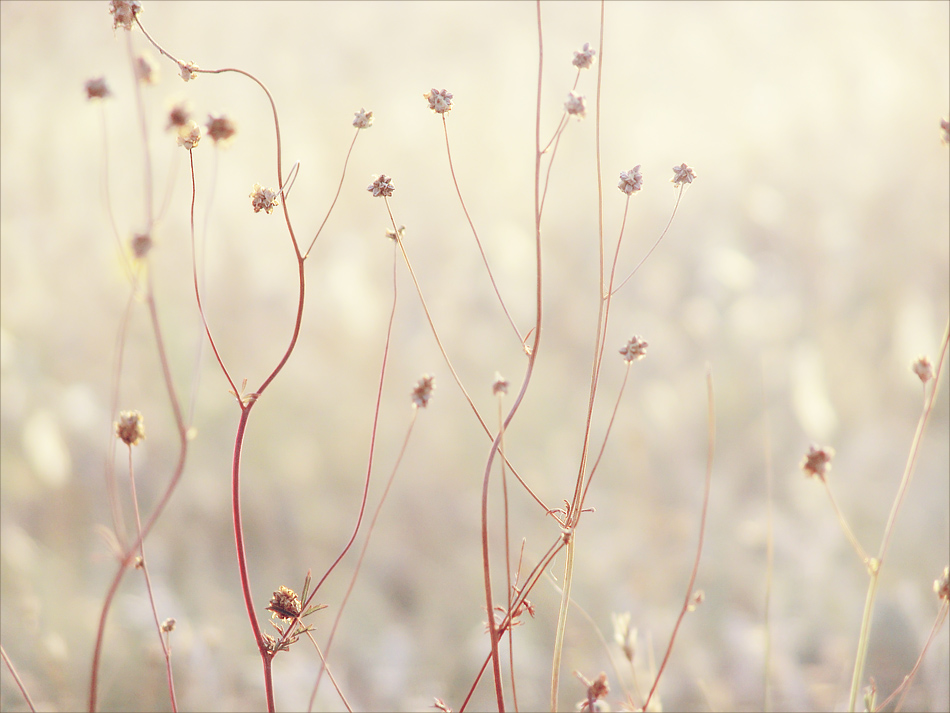 in der sengenden Strahlen der Juli ...