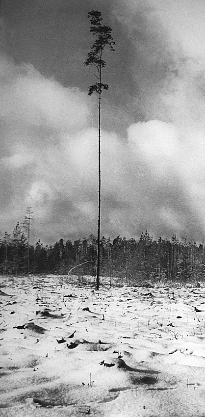 Der letzte der "Mohikaner"