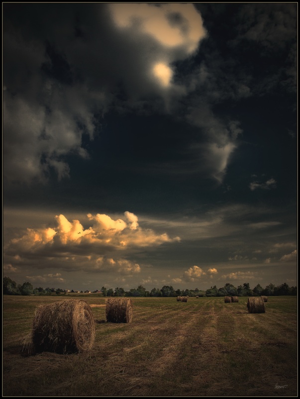 irgendwo auf dem Äquator des Sommers