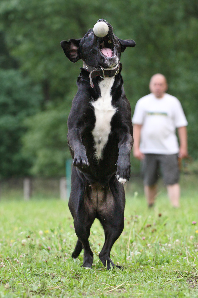 Brötchen, werde ich dich fressen!