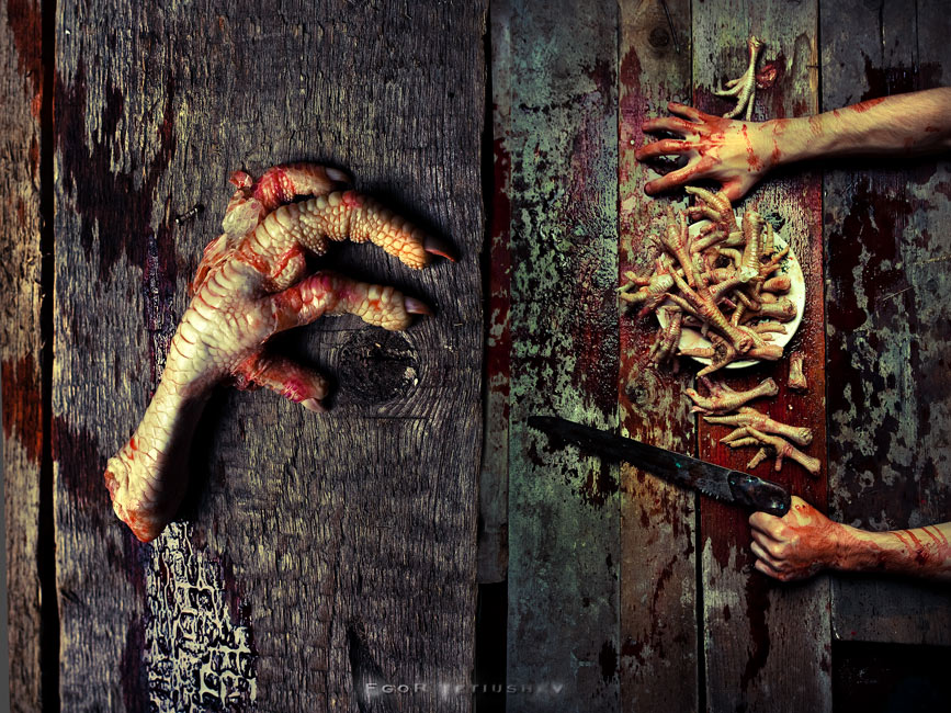 Eine Lektion über Stillleben