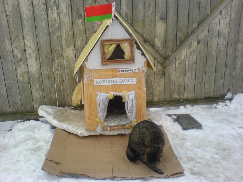 Cat's House