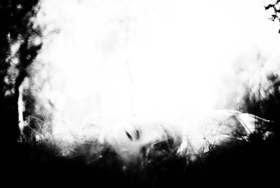 Reich der Träume Forest Fairies