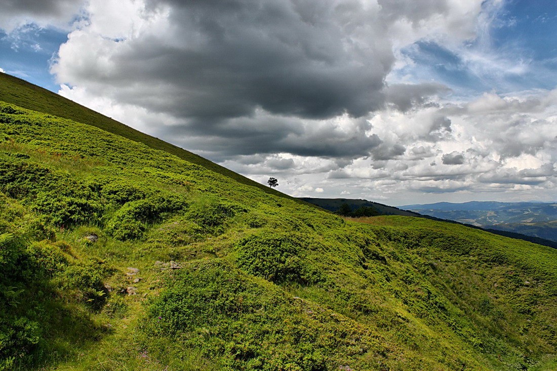 Herr der Bergstraßen