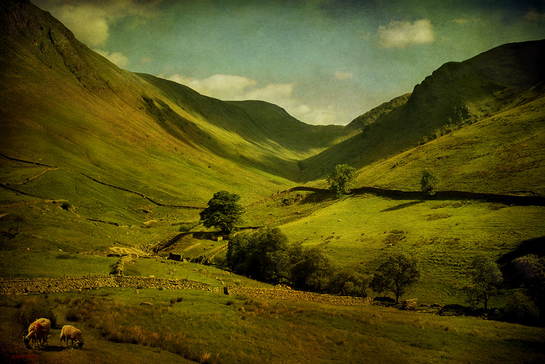 Cumbria