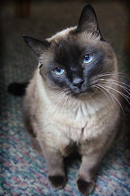 "Ich weiß nicht Interviews geben"