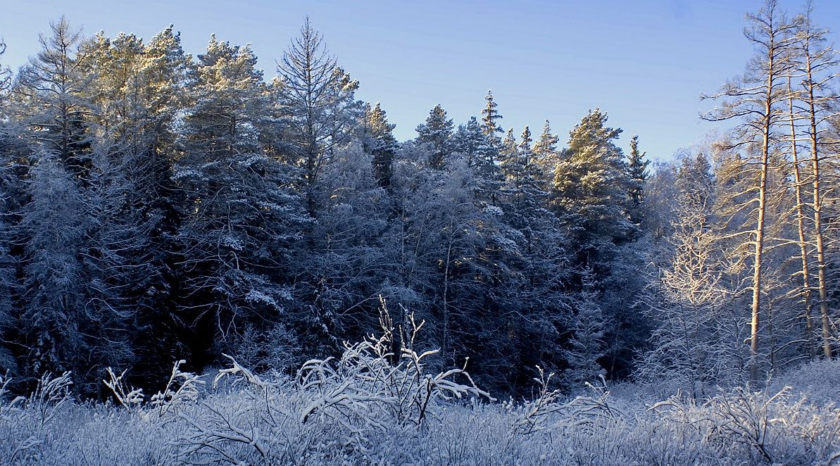 "Leiden, ist Menschen Winter kommt ..."