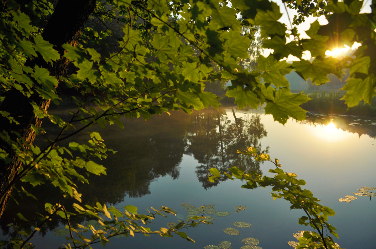 Kogda bolshinstvo spiat