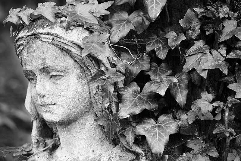 Luchakovskaya Madonna