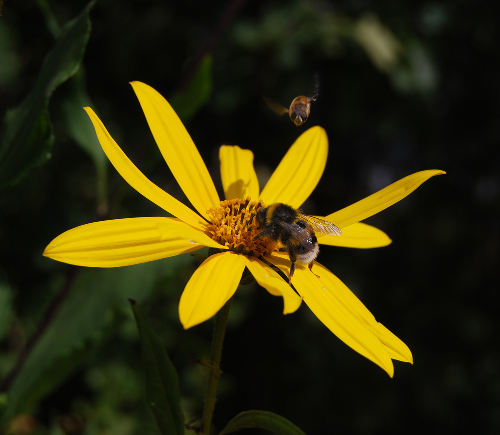 ... Ich bin auf der Stelle.