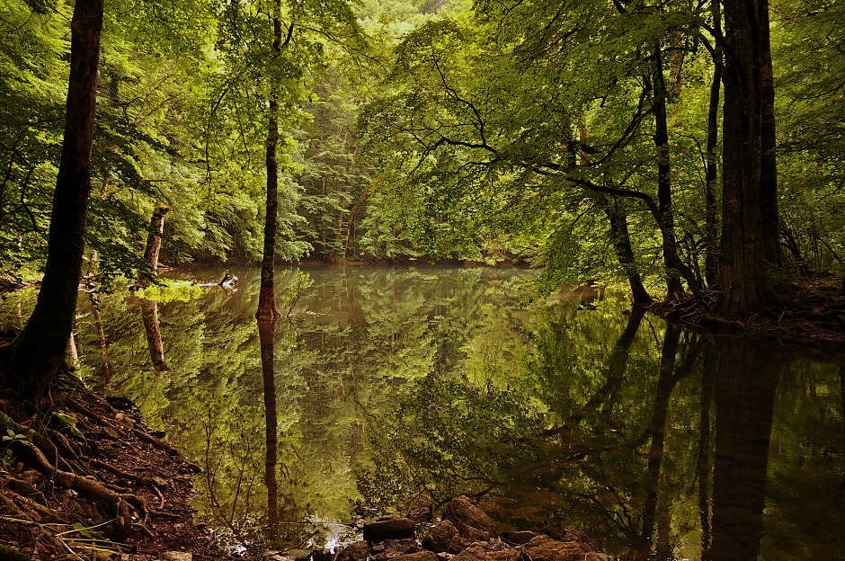 Wo die wilden Wasser