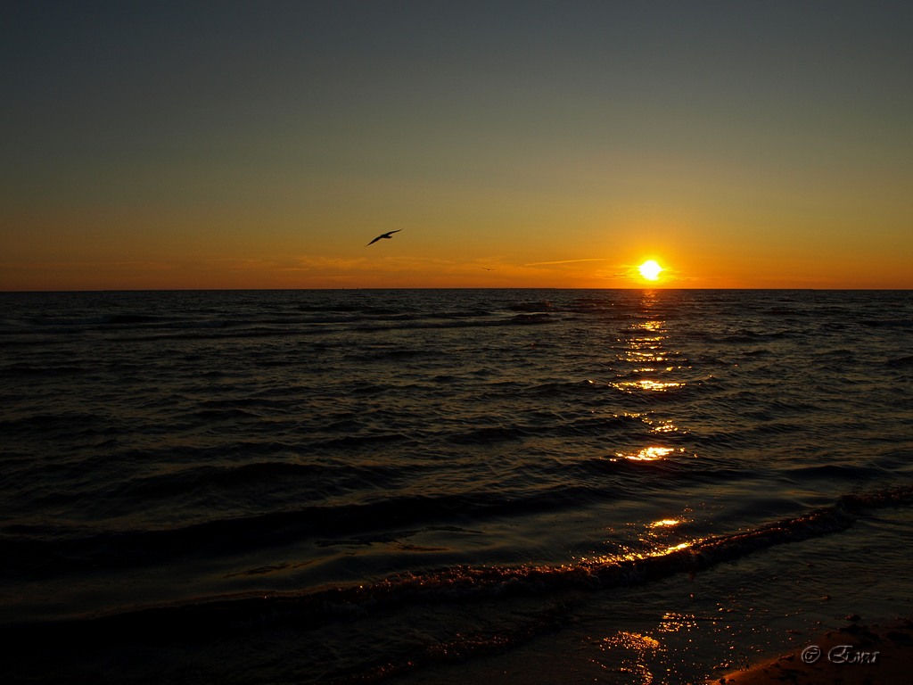 Mit Blick auf die Sonne.