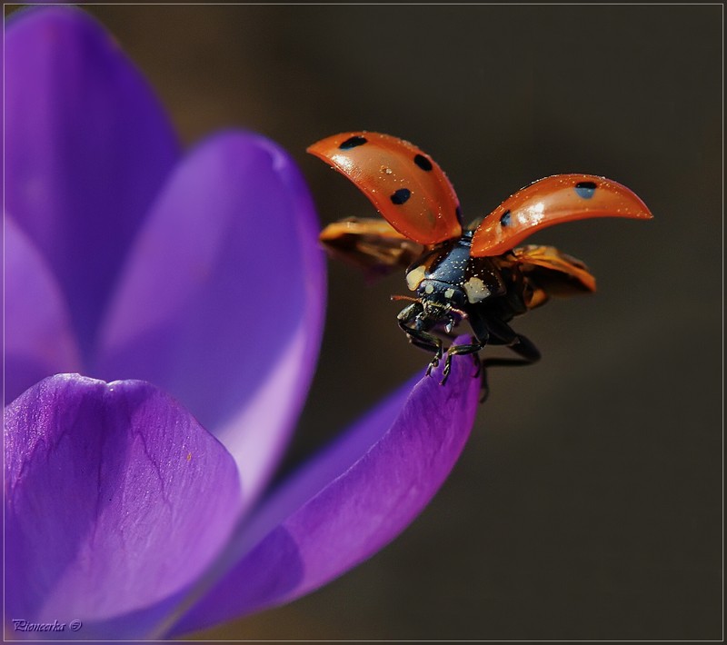 "M Going to take off!