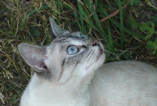 wie interessant und ..